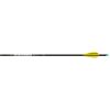 Easton X10 Parallel Pro Arrows 300 AAE Hybrid 26 vanes 6 pk.