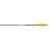 Gold Tip Warrior Arrows 600 4 in. Feathers 72 pk.