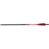 Barnett Demun C10 Hyperbolts 10 in. 6 pk.